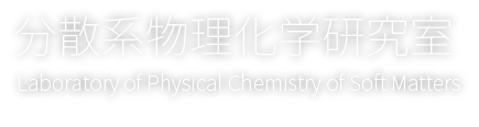 Laboratory of Physical Chemistry of Soft Matters