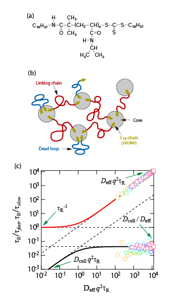 Dynamic Behavior of hydrophobically modified poly(N-isopropylacrylamides) in water