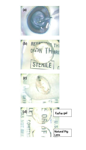 Biomaterials for Ophthalmic Use