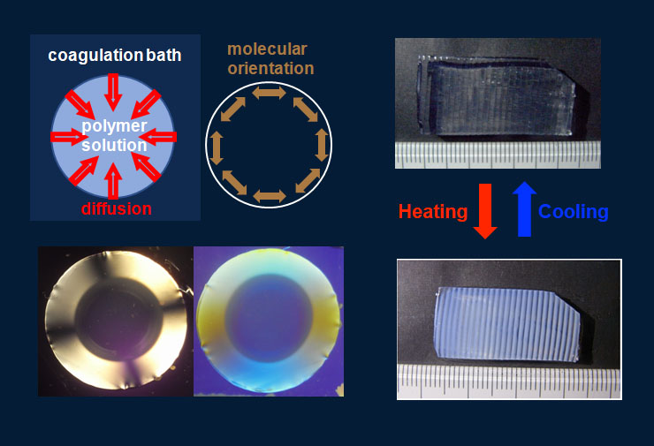 Introducing molecular orientation and designed microstructure into hydrogels