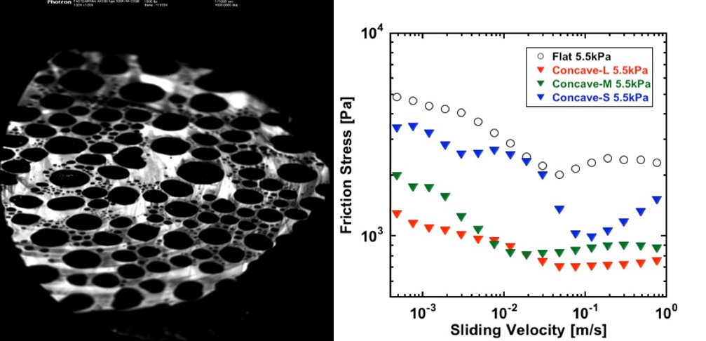 Lubrication and Friction of Hydrogels