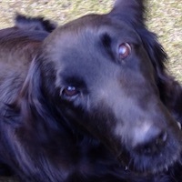 profile-sample5